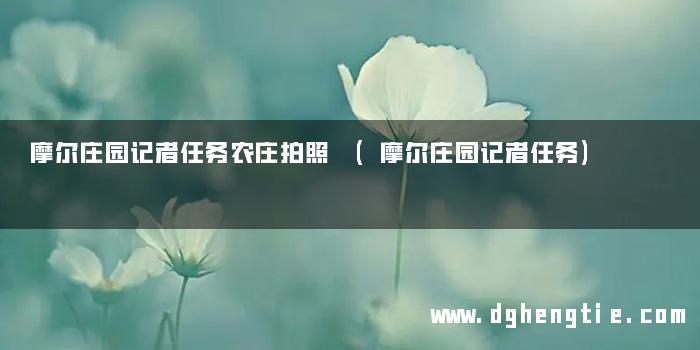 摩尔庄园记者任务农庄拍照 (摩尔庄园记者任务)